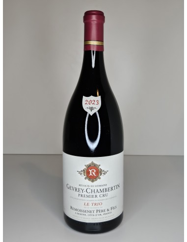 Magnum Gevrey-Chambertin 1er Cru « Le Trio » 2023